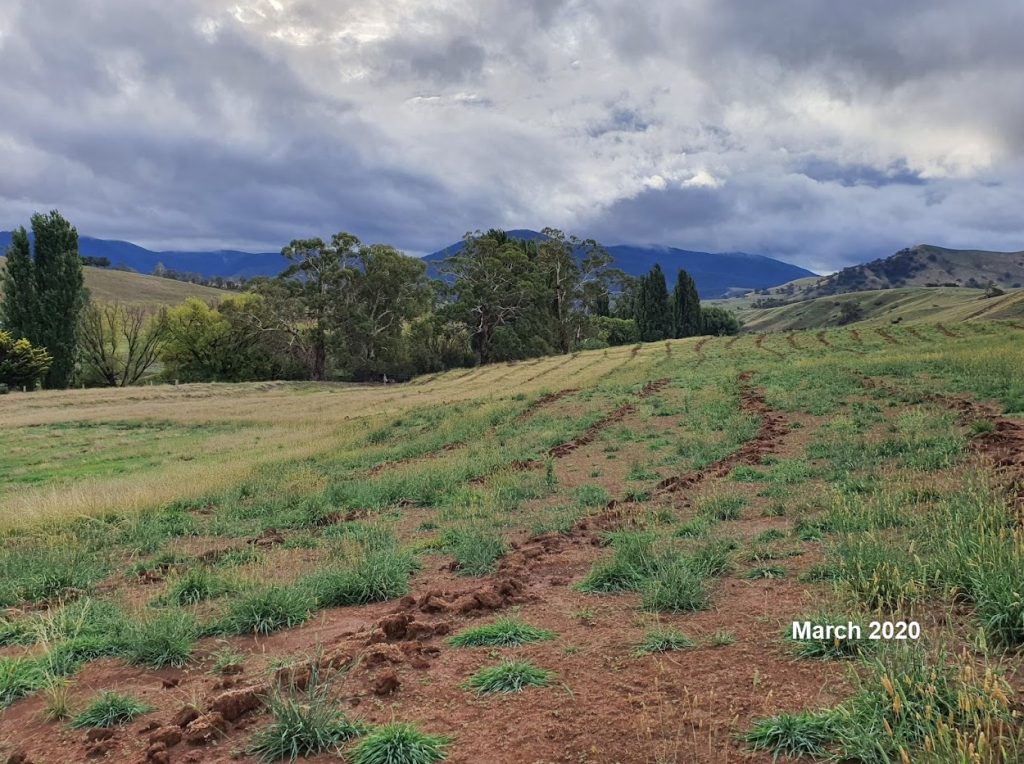 Carriage Range - March 2020