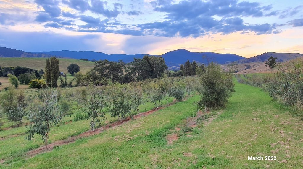 Carriage Range - March 2020